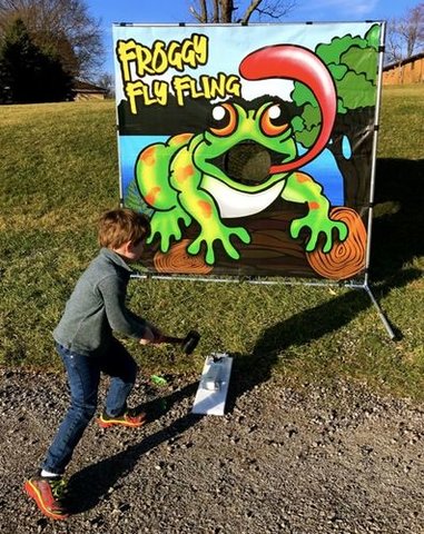 Froggy Fly Fling
